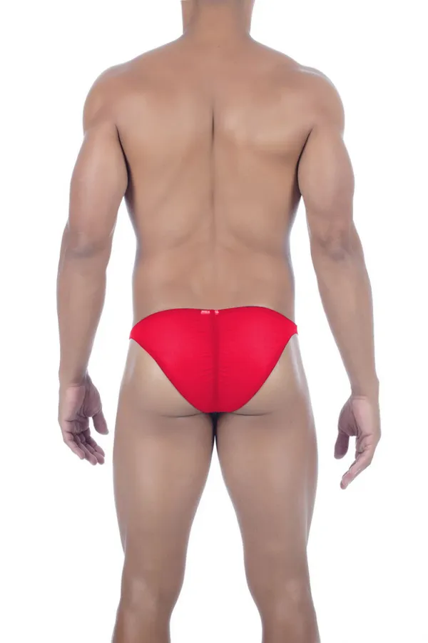 Red_Mesh_Brief_Panty_for_Women
