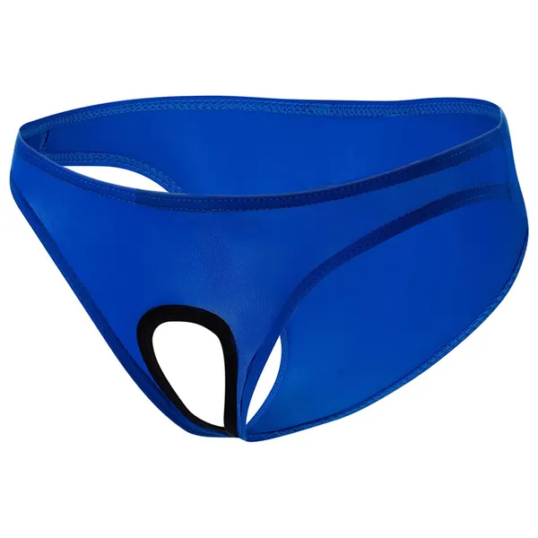 Blue_Brief_Underwear_for_Men