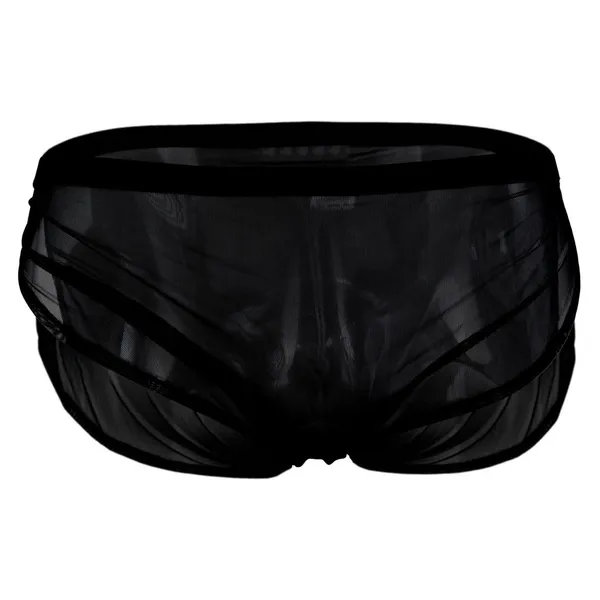 Black_Mesh_Briefs_for_Men