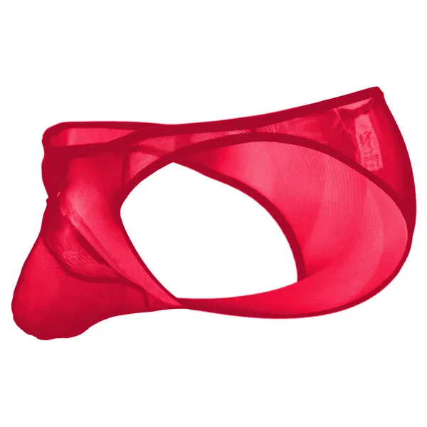 Red_Mesh_Brief_Panty_for_Women