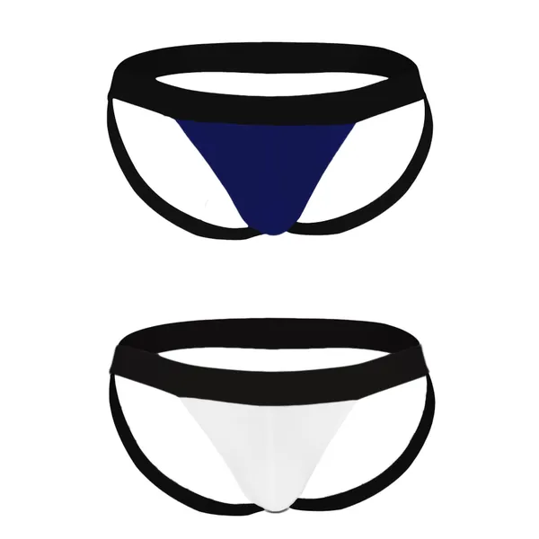 Blue_And_White_Brief_Style_Innerwear_for_Men
