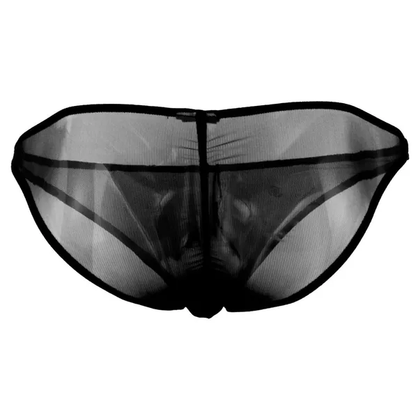 Black_Sheer_Mesh_Brief_for_Men
