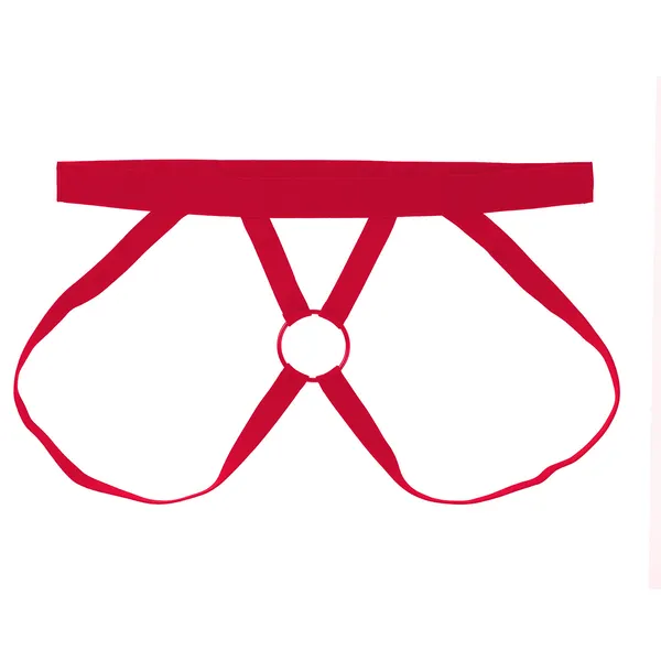 Red_Strap_Dog_Harness_for_Dogs