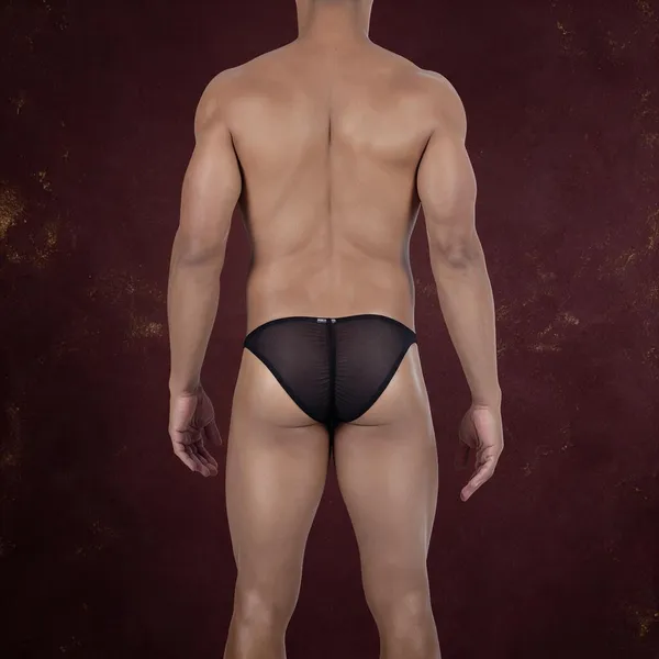 Black_Sheer_Mesh_Brief_for_Men