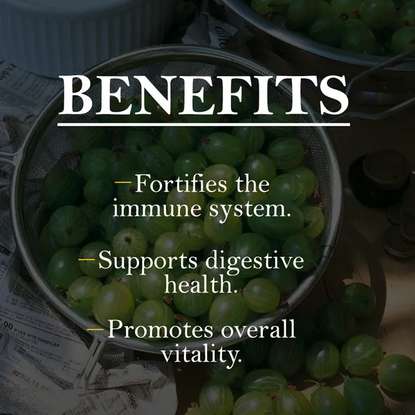 Cureitherb_Amla_Sudha_Indian_Gooseberry_Immunity_Jam