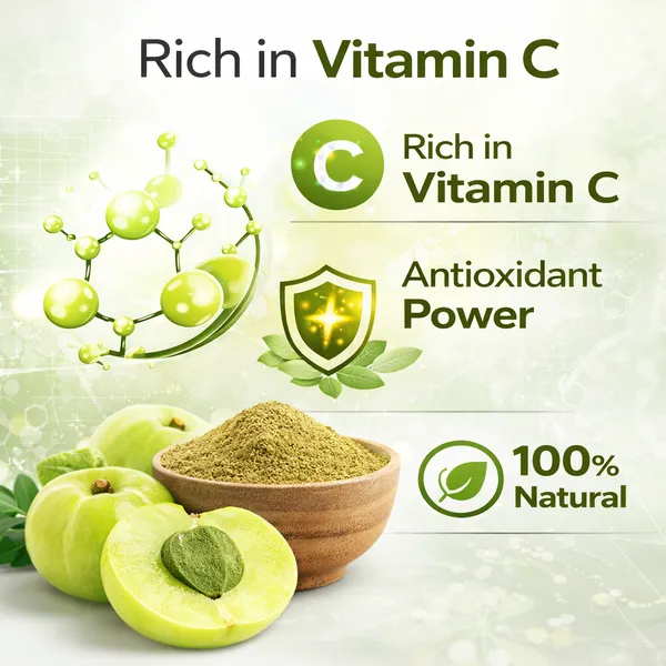 Jainath_Organic_Amla_(Amalaki)_Powder_-_Pack_Of_2
