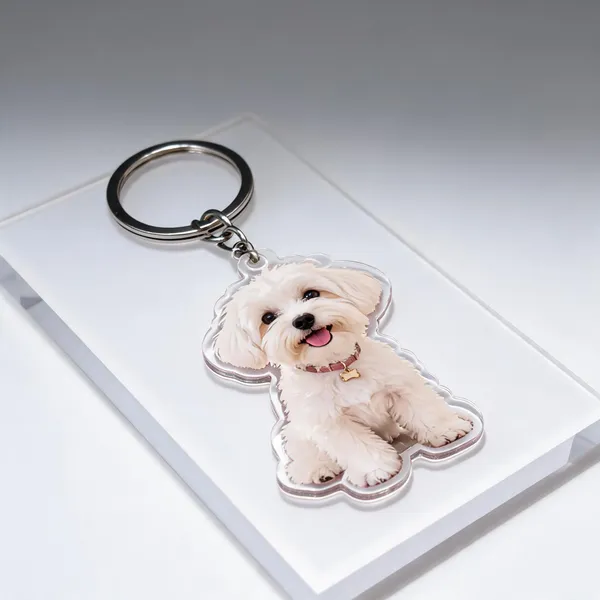 Clear_Acrylic_Decorative_Plaque__For_Gifty