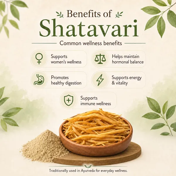 Shatavari_Roots_Whole