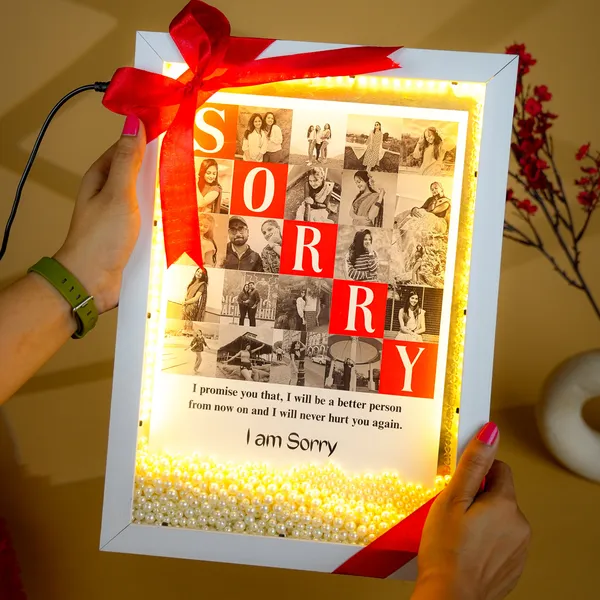 The_Floating_Pearl_Sorry_Frame