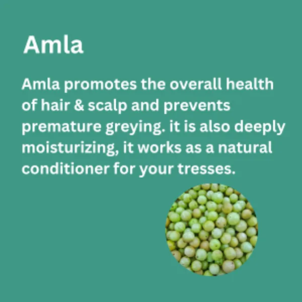Hair_Fall_Therapy_Oil_120ml