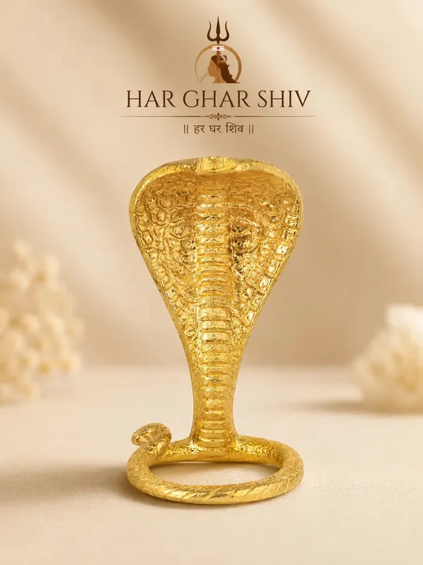 Sawan_Special_Full_Set_Shiv_Pooja_Kit_Default_Title