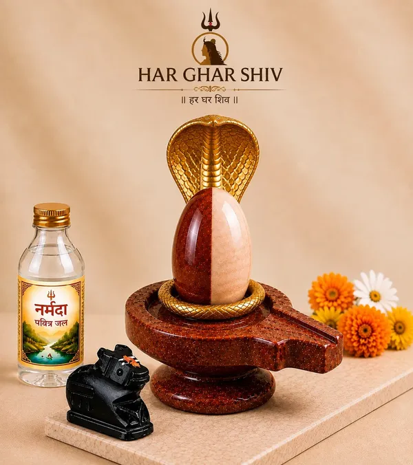 Ardhanarishwar_Shivling_100_Natural_Narmadeshwar_Damru_Jaladhari