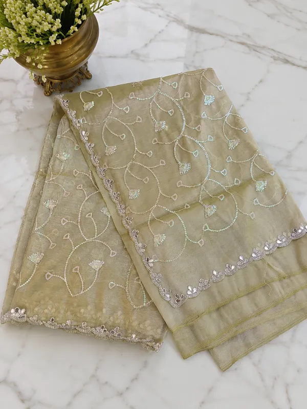 Glass_Tissue_Saree_Pale_Oyster