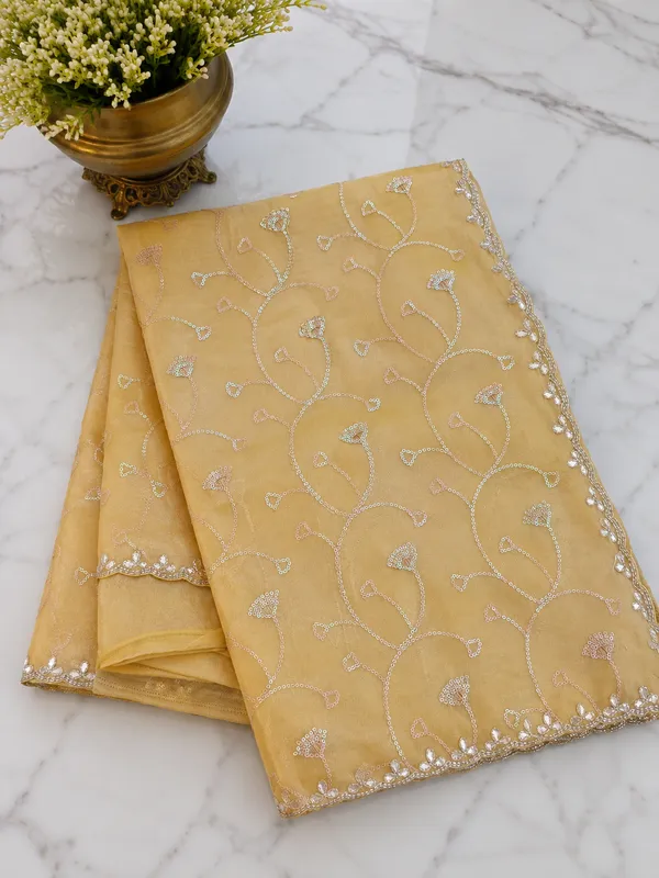 Glass_Tissue_Saree_Fawn