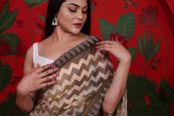 Chiffon_Designer_Saree_Reddish_Grey