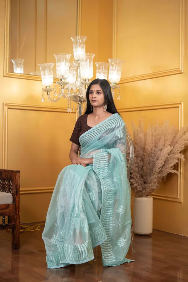 Soft_Tissue_Saree_Shadow_Green