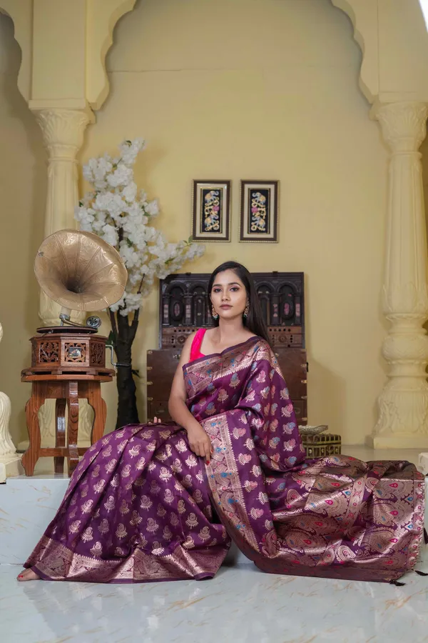 Banaras_Silk_Saree_Grape_Purple
