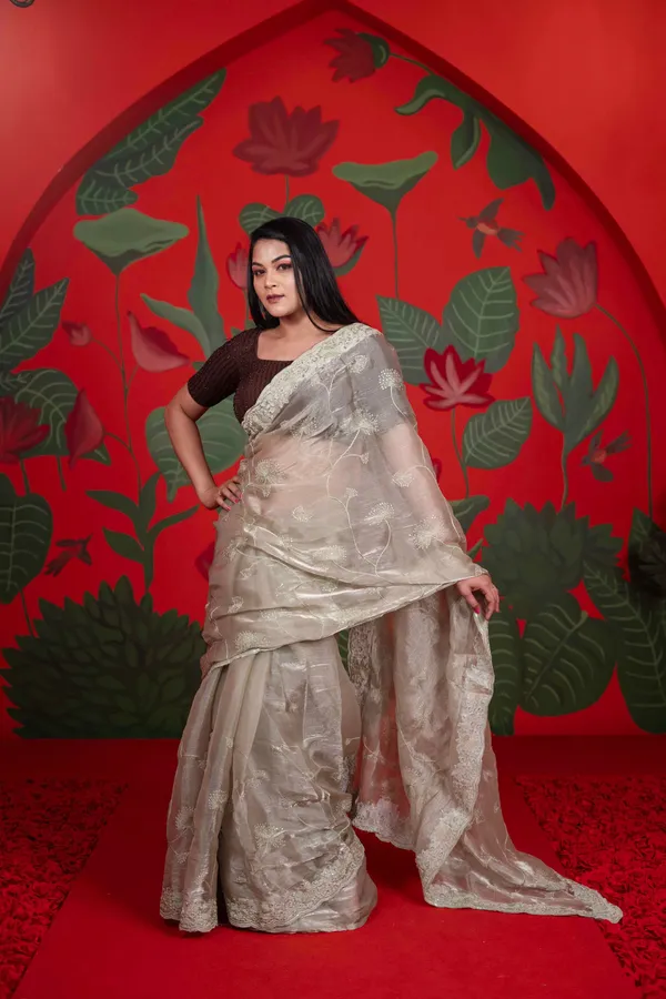 Burberry_Silk_Saree_Ash