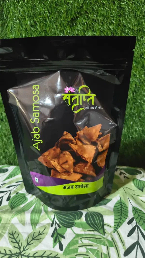 Santripti_Ajab_Samosa_Snack_Pack_Of_2