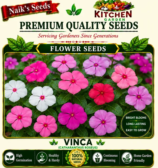 Natural_Vinca_Seeds_Fo_Garden_Pack_Of_2