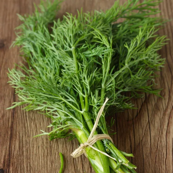 Natural_Dill_Seeds_Fo_Kitchen_Garden_Pack_Of_3