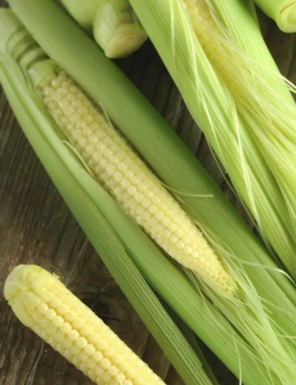 Natural_Baby_Corn_Seeds_Fo_Kitchen_Garden_Pack_Of_2