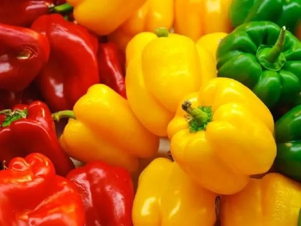 Natural_Capsicum_Seeds_Fo_Kitchen_Garden_Pack_Of_2