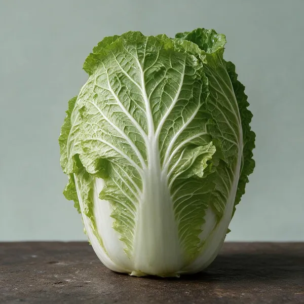 Natural_Chinese_Cabbage_Seeds_Fo_Kitchen_Garden_Pack_Of_2