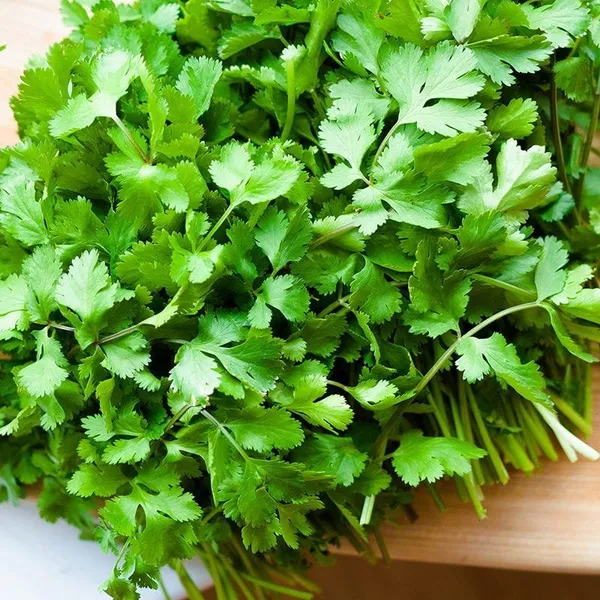 Natural_Coriander_Seeds_Fo_Kitchen_Garden_Pack_Of_2