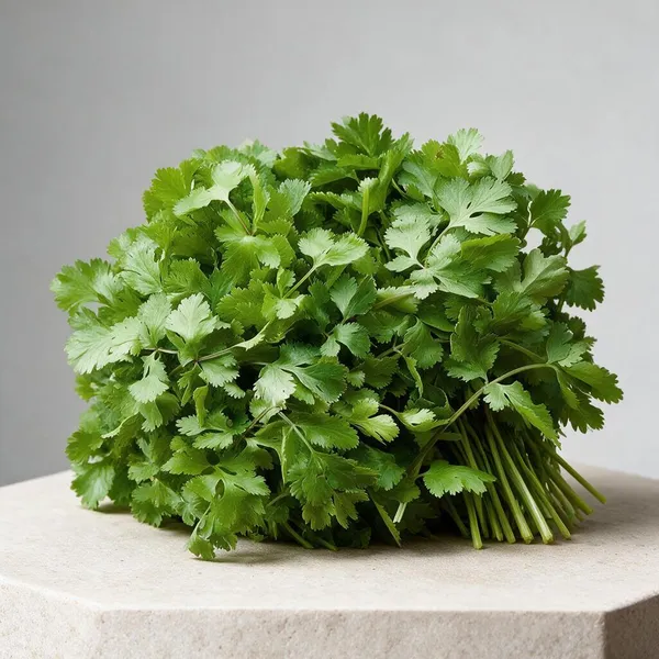 Natural_Coriander_Seeds_Fo_Kitchen_Garden_Pack_Of_2