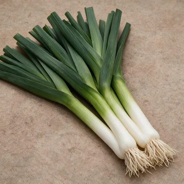 Natural_Leek_Seeds_Fo_Kitchen_Garden_Pack_Of_2