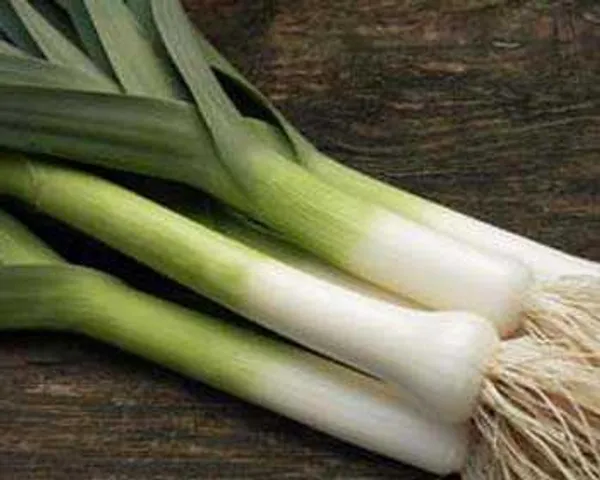 Natural_Leek_Seeds_Fo_Kitchen_Garden_Pack_Of_2