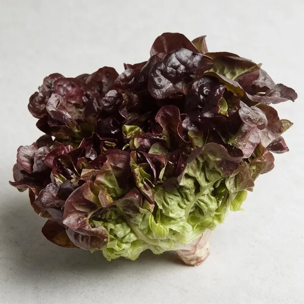 Natural_Lettuce_Seeds_Fo_Kitchen_Garden_Pack_Of_2