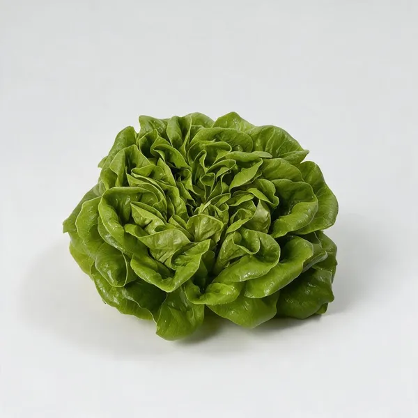 Natural_Lettuce_Seeds_Fo_Kitchen_Garden_Pack_Of_2