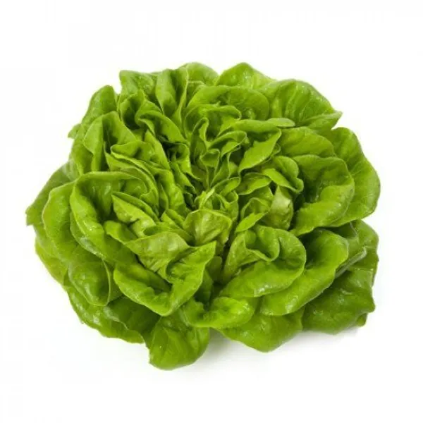 Natural_Lettuce_Seeds_Fo_Kitchen_Garden_Pack_Of_2