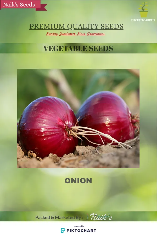 Natural_Onion_Seeds_Fo_Kitchen_Garden_Pack_Of_3