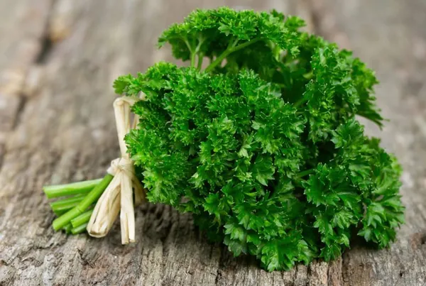 Natural_Parsley_Seeds_Fo_Kitchen_Garden_Pack_Of_2