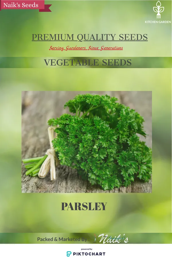 Natural_Parsley_Seeds_Fo_Kitchen_Garden_Pack_Of_2