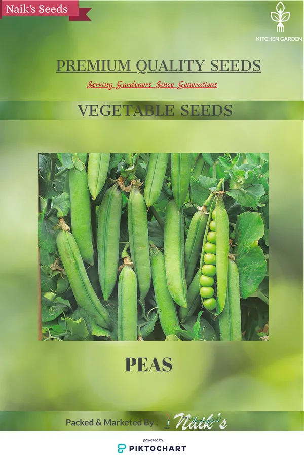 Natural_Pea_Seeds_Fo_Kitchen_Garden_Pack_Of_3