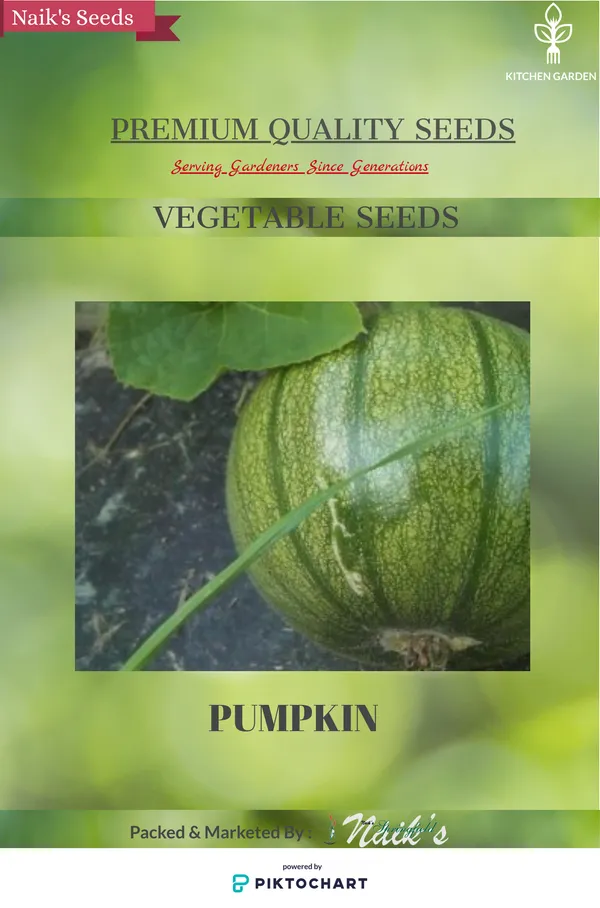 Natural_Pumpkin_Seeds_Fo_Kitchen_Garden_Pack_Of_3