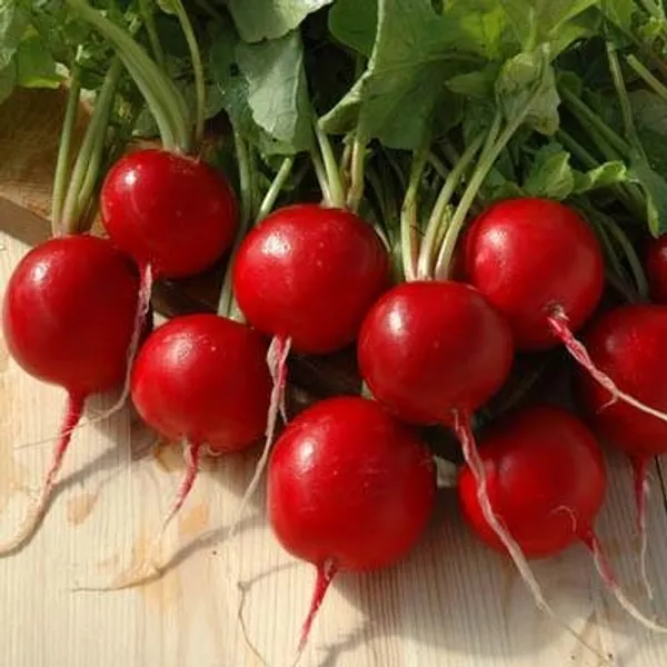 Natural_Radish_Seeds_Fo_Kitchen_Garden_Pack_Of_2
