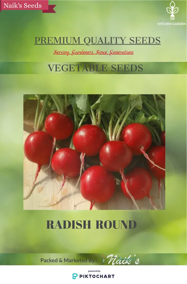 Natural_Radish_Seeds_Fo_Kitchen_Garden_Pack_Of_2