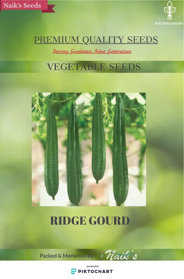 Natural_Ridge_Gourd_Seeds_Fo_Kitchen_Garden_Pack_Of_2