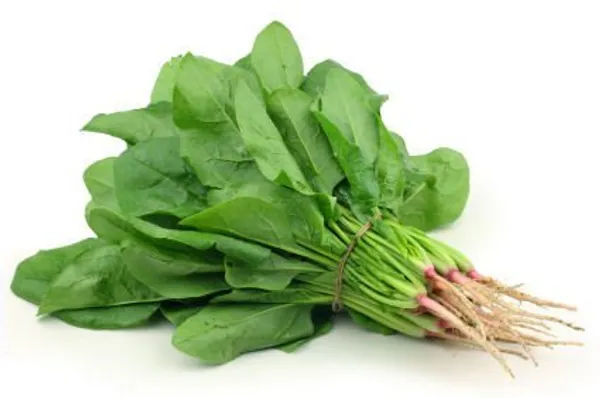Natural_Spinach_Seeds_Fo_Kitchen_Garden_Pack_Of_3