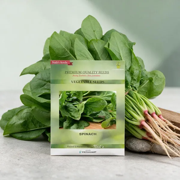 Natural_Spinach_Seeds_Fo_Kitchen_Garden_Pack_Of_3