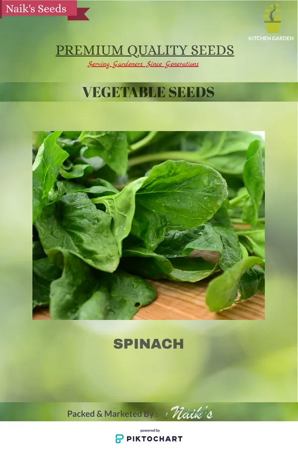 Natural_Spinach_Seeds_Fo_Kitchen_Garden_Pack_Of_3
