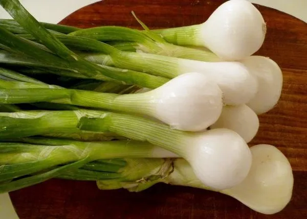 Natural_Spring_Onion_Seeds_Fo_Kitchen_Garden_Pack_Of_2