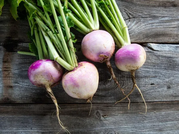 Natural_Turnip_Seeds_Fo_Kitchen_Garden_Pack_Of_3