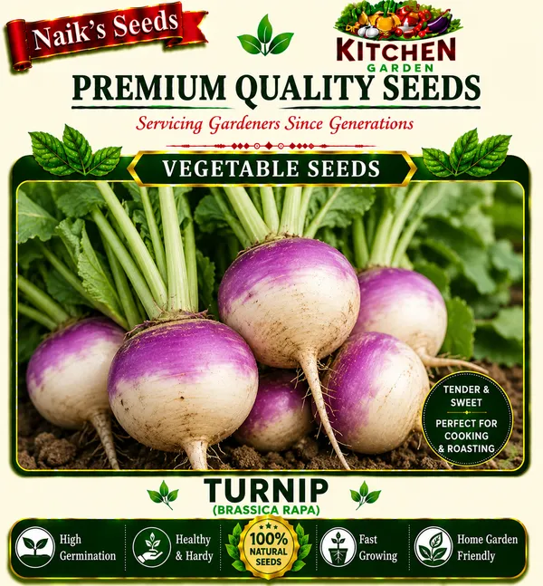 Natural_Turnip_Seeds_Fo_Kitchen_Garden_Pack_Of_3