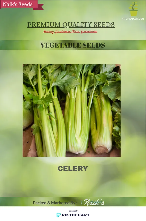 Natural_Celery_Seeds_Fo_Kitchen_Garden_Pack_Of_2